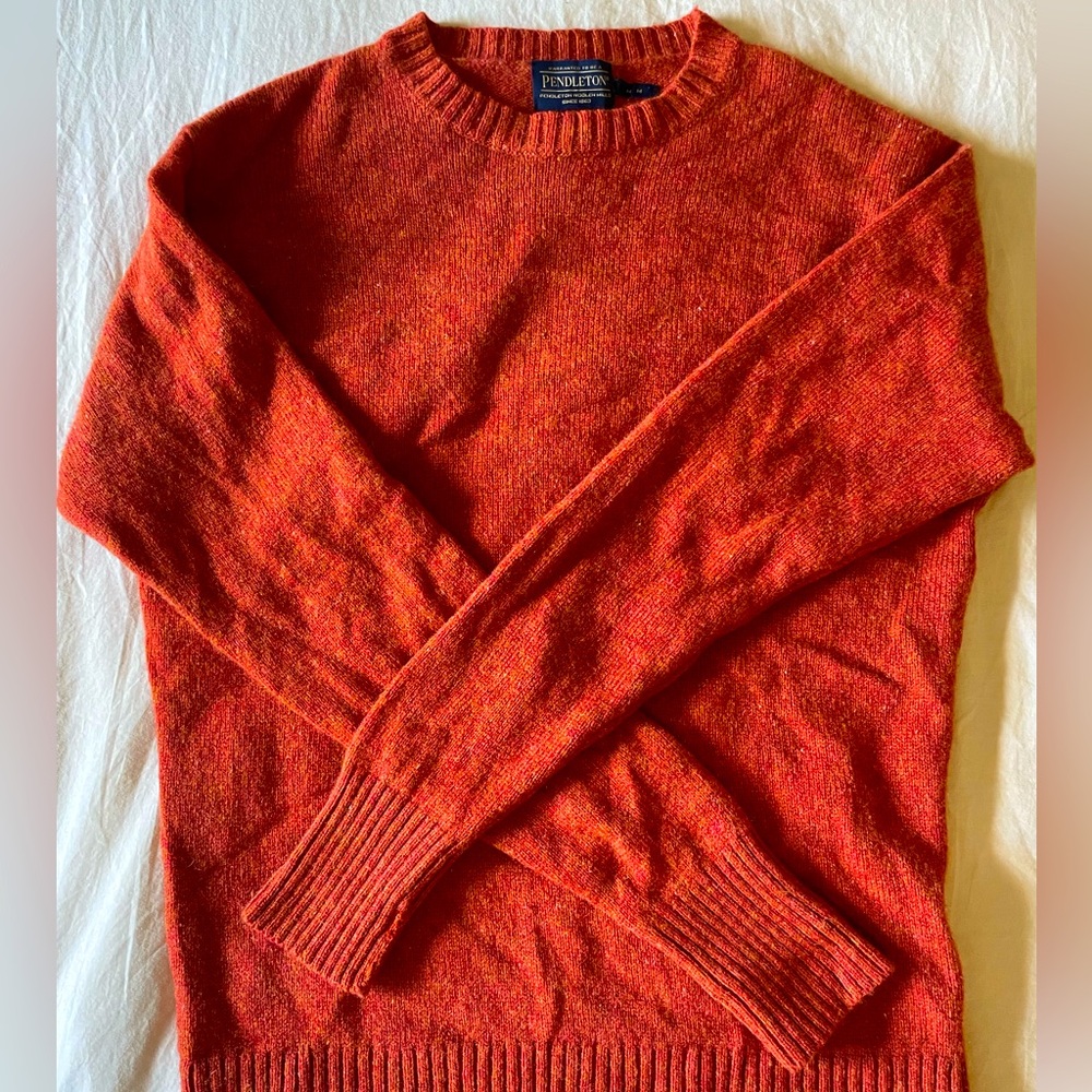 Pendleton Wool Sweater - image 1